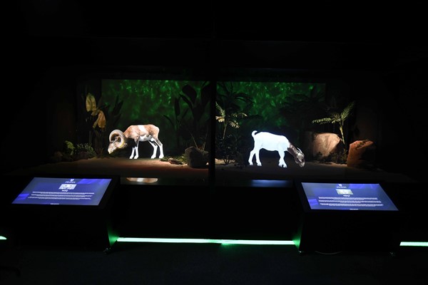 Başkan Yavaş: “Dijital Hayvanat Bahçesi’ni açıyoruz”